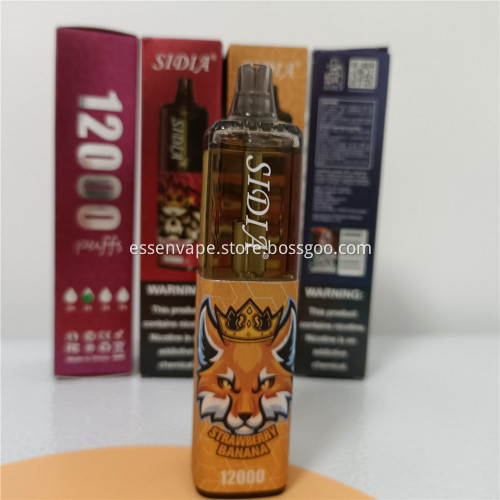 Strawberry Kiwi Sidia 12000 puffs Vape Flavors